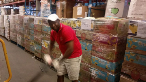 VOLUNTEER-WORK-13