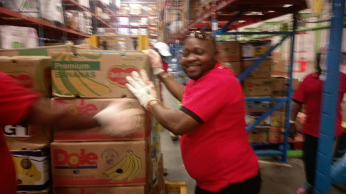 VOLUNTEER-WORK-15